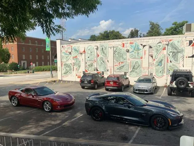Epiphany, Birdsong mural Athens, GA