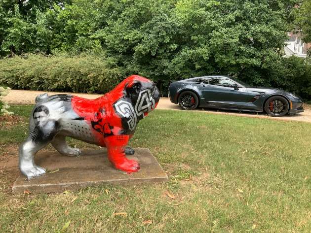 C7 at Georgia Hirschel Walker bulldog