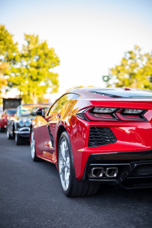 Back view of a torch red C8 Corvette