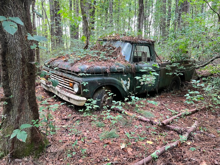 Old rusted truck in the woods