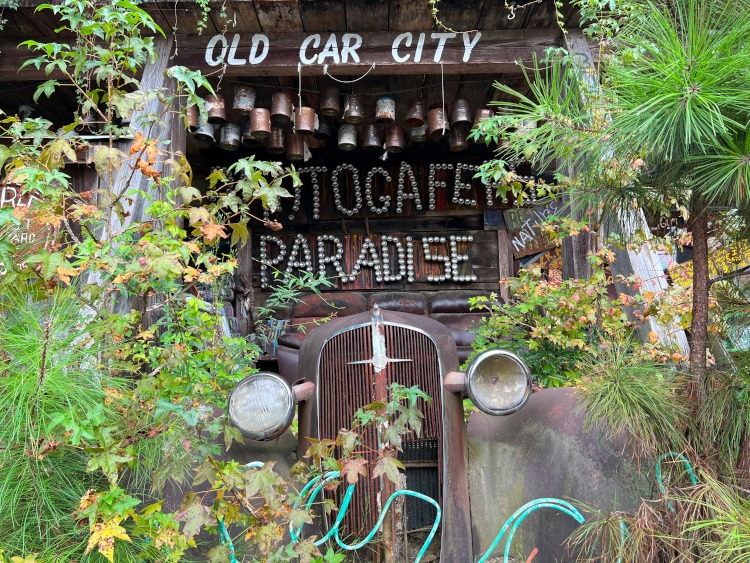 A hidden car in Old Car City USA