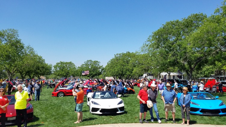 Gathering of Corvettes