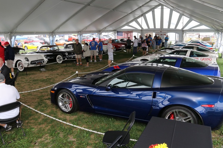 A collection of Corvettes under a tent.