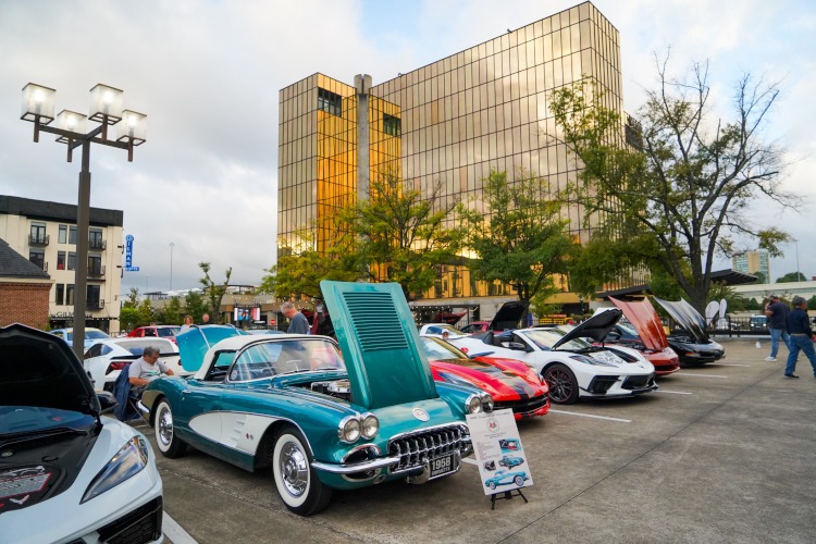 A group of Corvettes on display