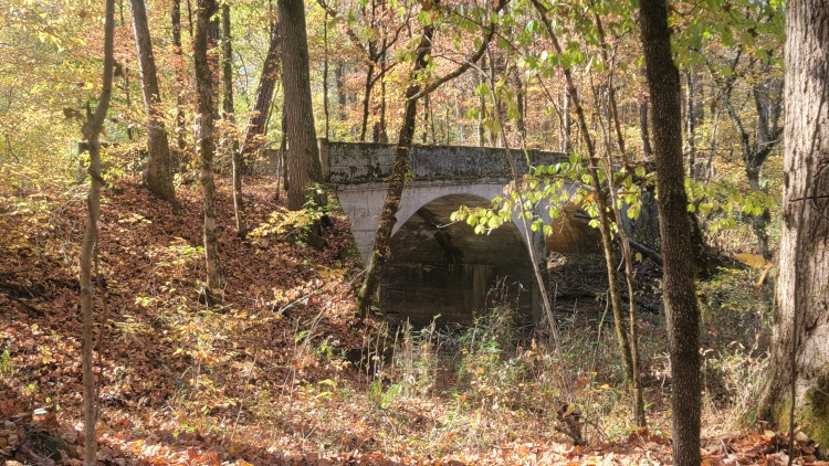 Old highway bridge overgrown in the woods.
