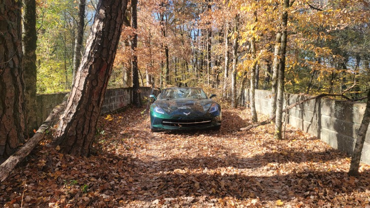 A Corvette on a deserted road in North Georgia,